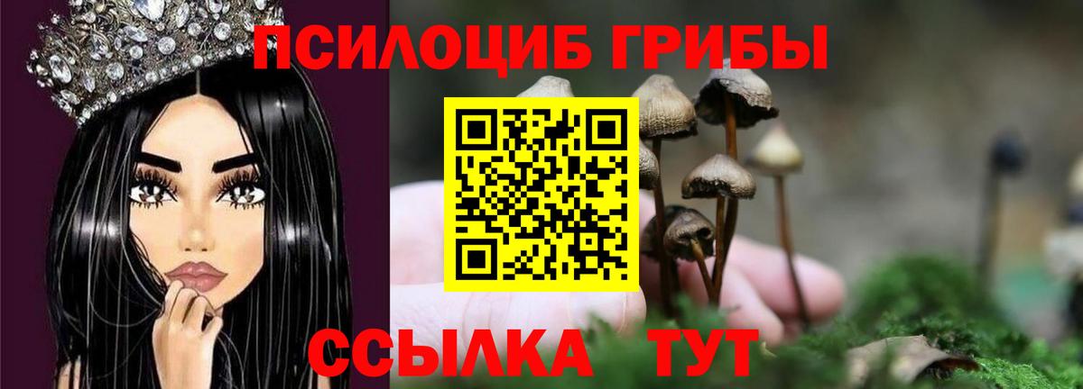 Кизилюрт  Галлюциногенные грибы мухоморы  Вход с VPN 
